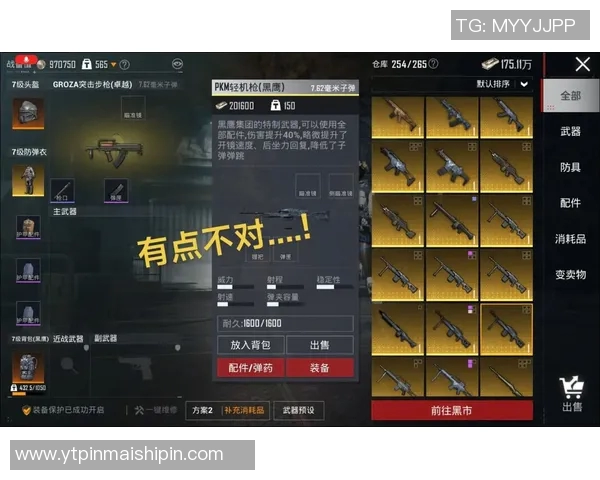 吴静专访：从初出茅庐到和平精英的辉煌历程全景回顾